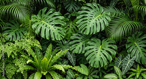 The leaves in the forest are lush green, a natural sight.