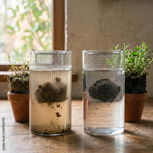 Soil Slake Test Comparing Soil Stability and Health in Glass Cylinders