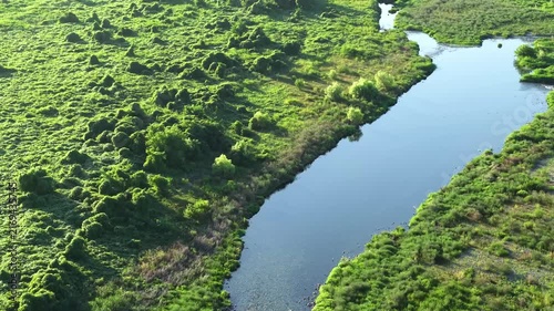 河川敷の植物