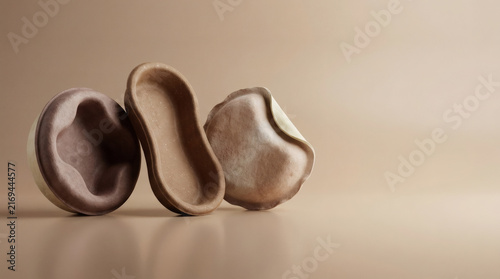 Biodegradable Mushroom Mycelium Packaging Containers for Sustainable Eco-Friendly Shipping