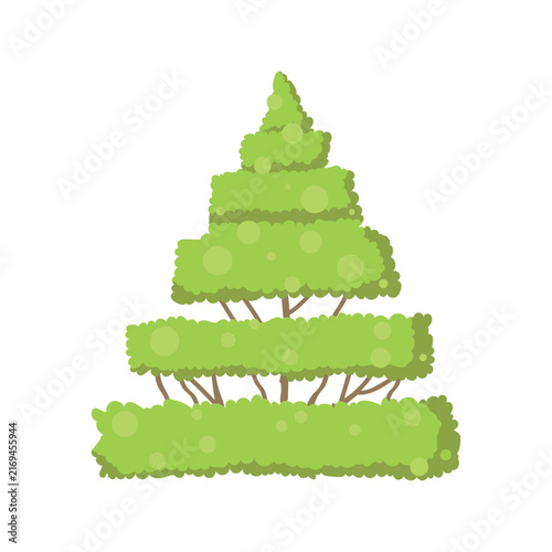 Decorative Green Pyramid topiary tree for garden and park design.