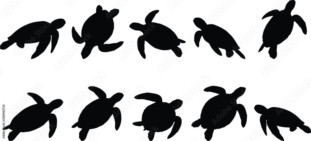 Fototapeta premium Black Sea Turtle Silhouettes in Different Swimming Positions Highlighting Flippers and Body Shapes