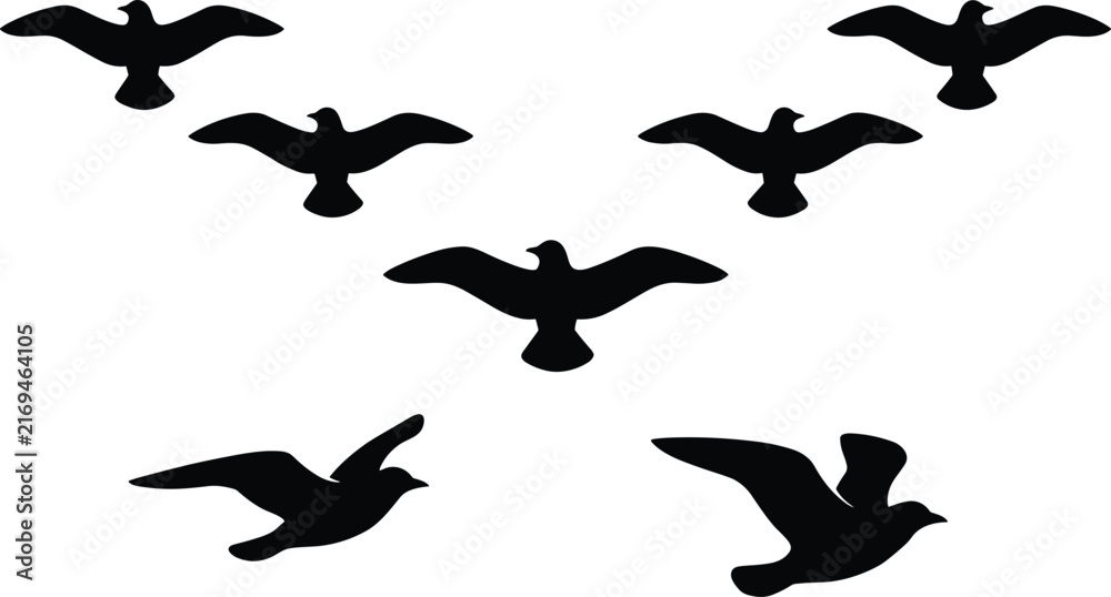 Fototapeta premium Black Bird Silhouettes Flying in V Formation Showing Natural Motion and Coordination