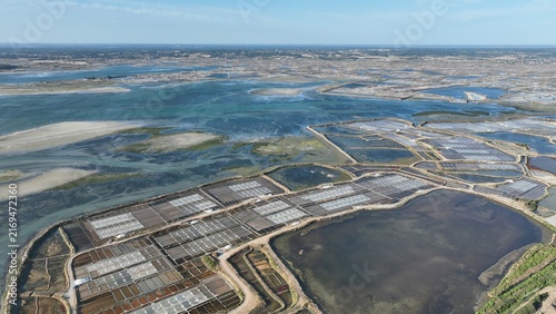 survol des marais salants de Guérande