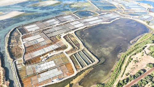 survol des marais salants de Guérande