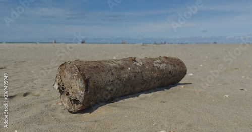 Baumstamm am Strand von SPO