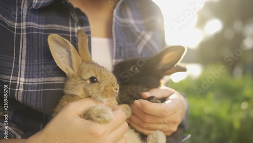 A woman gently holds two rabbits in her hands. The woman cradles the rabbits, a brown one and a black one, while surrounded by greenery in the sunlight.