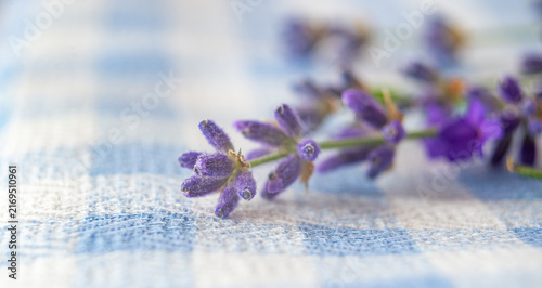 Lavender flowers rest on a blue and white checkered cloth in a bright setting
