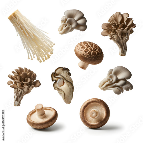 A Culinary Collection: An assortment of exotic and familiar mushrooms, including enoki, shiitake, oyster, and maitake, artfully arranged to showcase their diverse textures and shapes.
