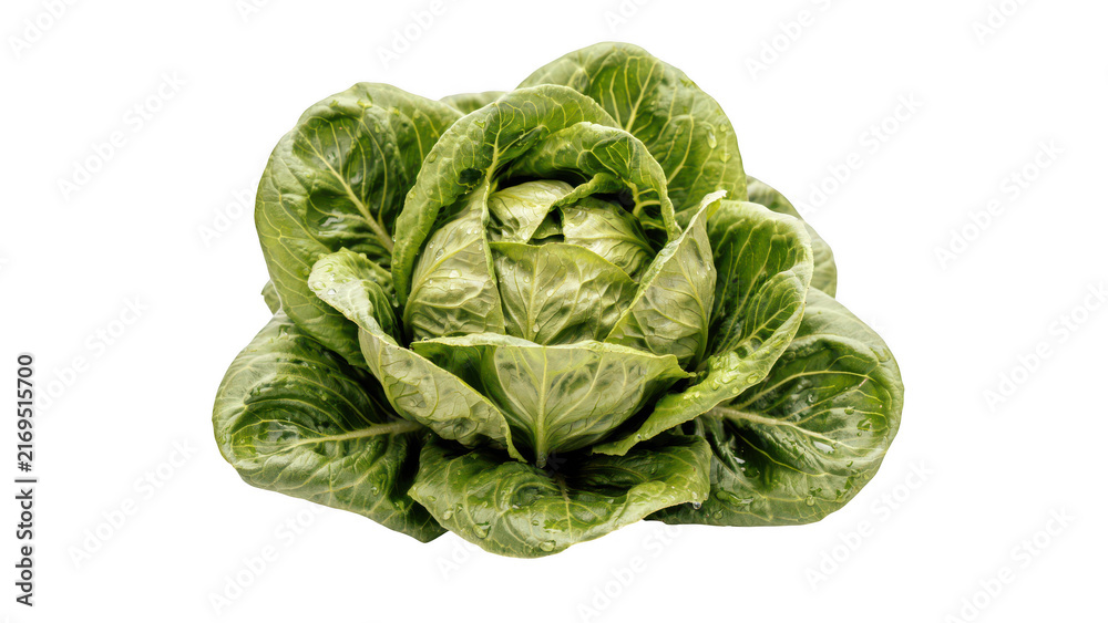 Fototapeta premium A fresh head of green romaine lettuce with crisp, vibrant leaves arranged in a cluster, isolated on a white background, for food marketing