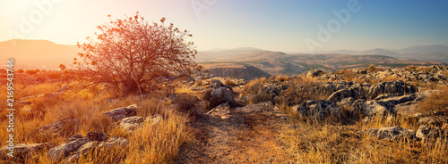 Bild auf Leinwand Arbel cliff. Galilee, Israel