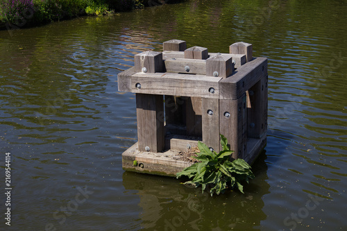 Cuadro en lienzo Wooden mooring dolphin structure in green canal water with a wild broadleaf plant (Rumex) growing from the base