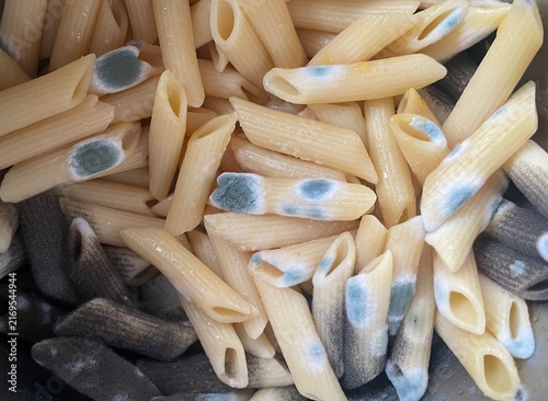 Cooked penne pasta in a metal container is heavily contaminated with gray-green, white fuzzy mold.