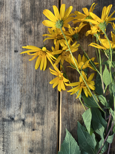 flat lay of fresh yellow Jerusalem artichoke flowers on a rustic wooden background with copy space