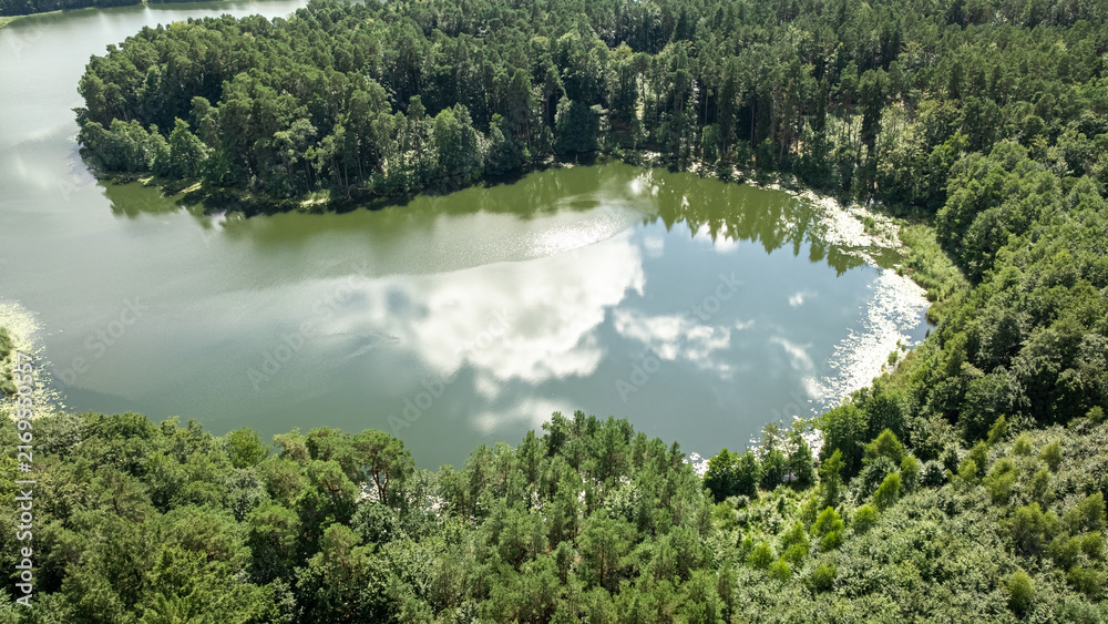 Naklejka premium Small pond nestled in a green summer forest, aerial Poland.