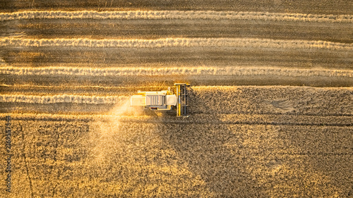 Canvas Print Combine harvester clearing a golden grain field, Polish summer aerial