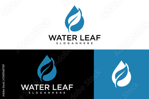 Eco Friendly Water Leaf Logo Vector