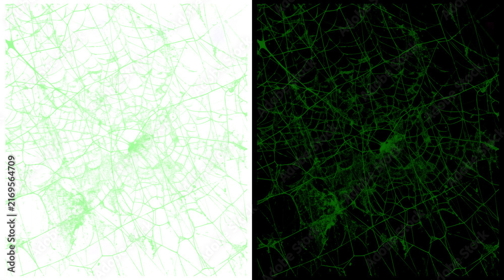 Fototapeta premium Abstract green city map network, digital urban grid illustration, glowing neural connection lines on black and white backgrounds
