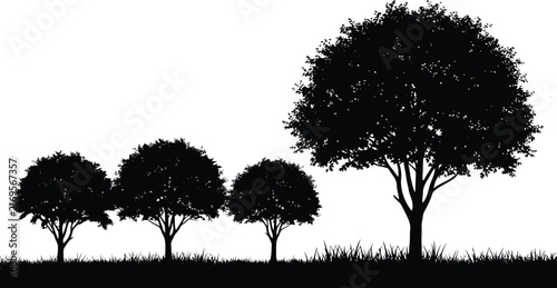 Set of tree vector icons isolated on transparent background