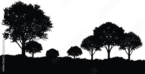 Set of tree vector icons isolated on transparent background