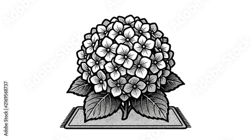 Ornate hydrangea bloom engraving displayed on decorative mat