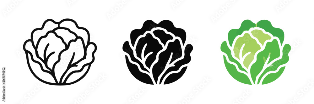 Obraz premium Fresh Lettuce Leafy Vegetable Food Icon