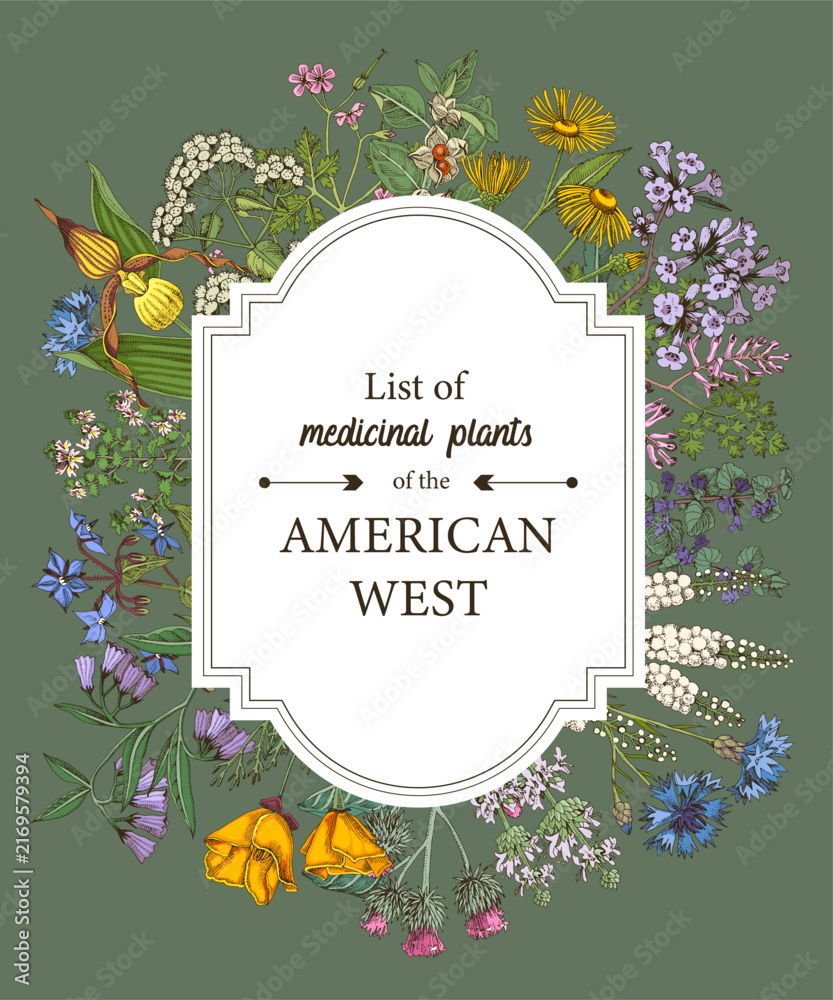 Obraz premium Medicinal herbs of American West vector