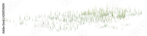 grass on white background/High-resolution green grass meadow isolated on a clean white background, with sharp details and natural texture.