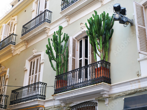 Huge green euphorbia cactus plants growing in pots on classic apartment balcony in Spain. Perfect illustration for Mediterranean architecture blog, urban plant styling ideas or travel brochure banner