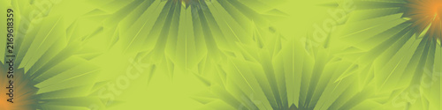 Print Abstract Lime Green Geometric Burst Background