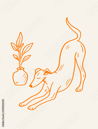 Cute hand drawn orange line art illustration of a stretching greyhound dog next to a potted plant