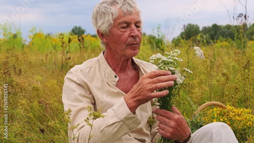 An herbalist sits in a field filled with wild plants, carefully smelling a bunch of fresh medicinal herbs. The sun is shining with scattered clouds in the sky