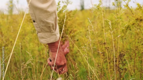 A person picks herbs from a tall plant in a green field under clear skies. The hands show focus and care in the collection process