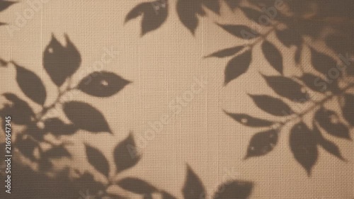 Soft foliage shadows gently move across a warm textured surface, creating an elegant autumn advertising background.