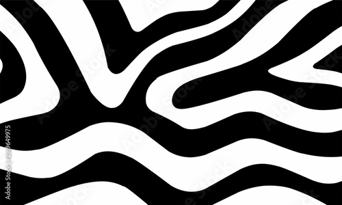 Monochrome Abstract Zebra Stripe Background with Wavy Liquid Organic Lines and High Contrast Texture