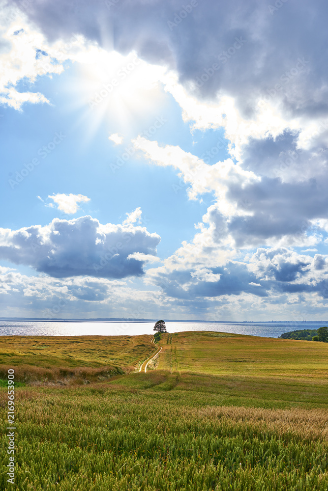 Naklejka premium Landscape, blue sky or clouds and field in nature with dirt road, sea or grass for travel. Sunshine, ocean or water and outdoor in meadow for journey, adventure and street in countryside for vacation