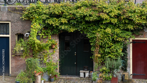 Traditional Dutch canal wharf cellar wooden door covered with green climbing ivy and plants in Utrecht
