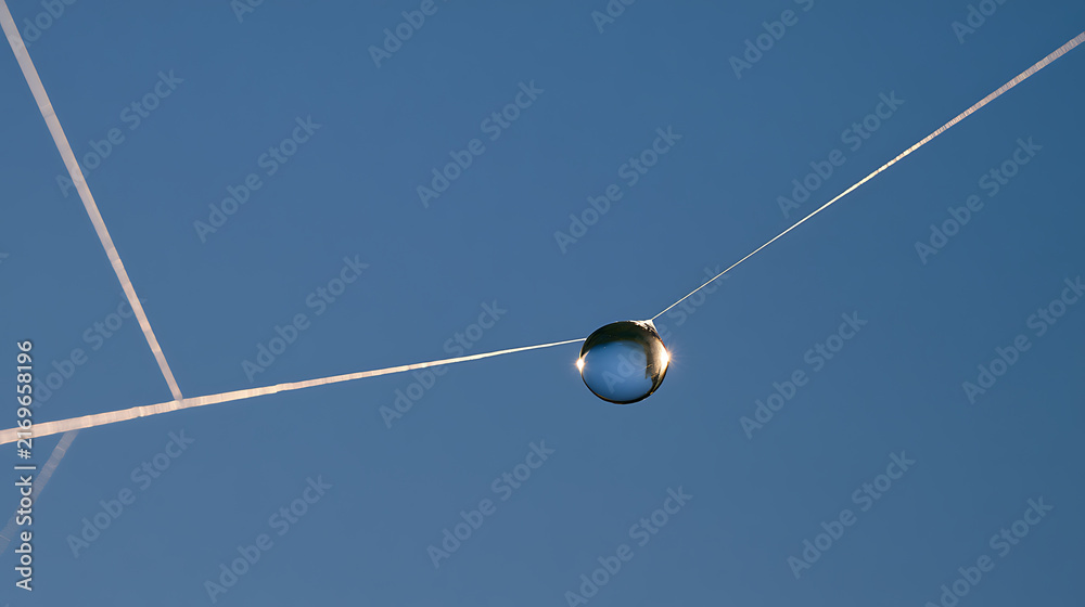 Obraz premium A single clear water drop balance on a thin thread against a bright blue sky background, macro nature photography concept for purity