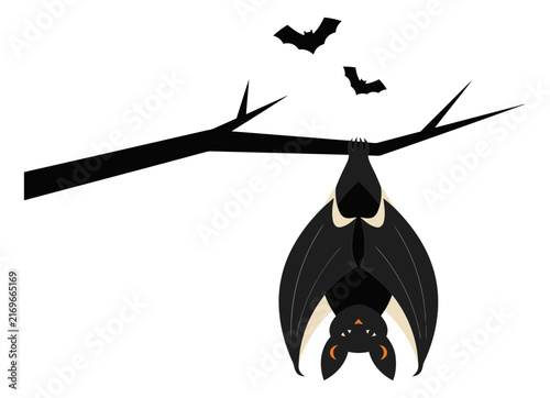 Bat hanging upside down on branch with flying bats in silhouette vector illustration