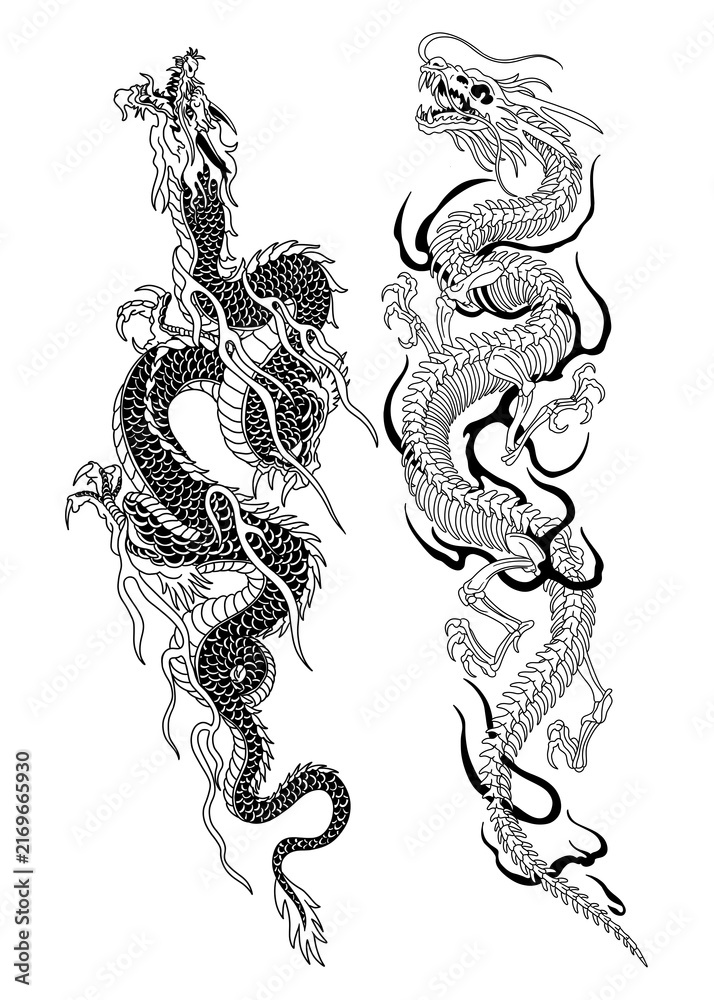 Fototapeta premium chinese dragon vector illustration