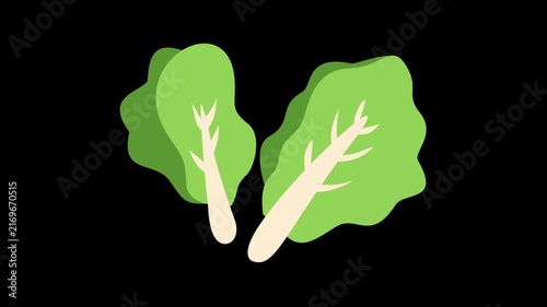 illustration of fresh green lettuce leaves