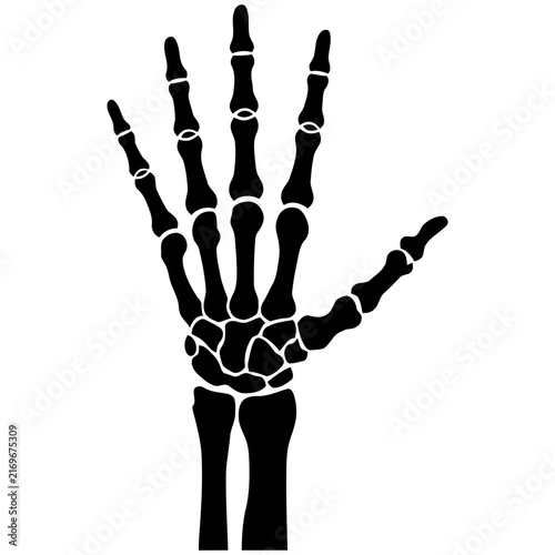 Skeleton Hand Vector Illustration With Open Fingers Against White Background