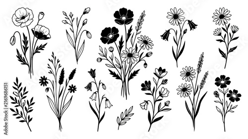 Hand-drawn floral illustrations: poppies, daisies, wildflowers, botanical line art