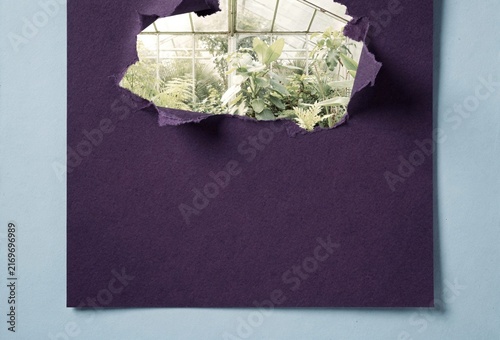Torn purple paper revealing a lush pale-green greenhouse with jagged edges, a conceptual depth effect for product advertising and design