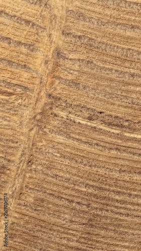 Aerial view of plowed agricultural fields and farmland in a sunny day