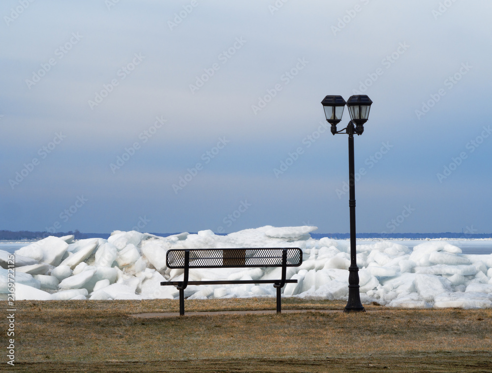 Fotografía arafed ice floess