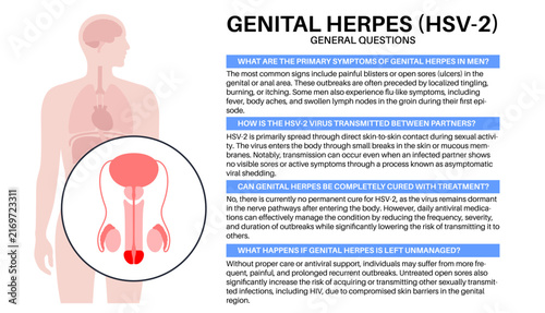 Naklejka Men educational facts guide