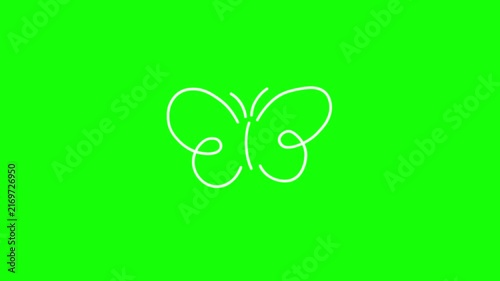 Hand-drawn butterfly outline animation with a doodle effect, green background, 4K motion graphics video.