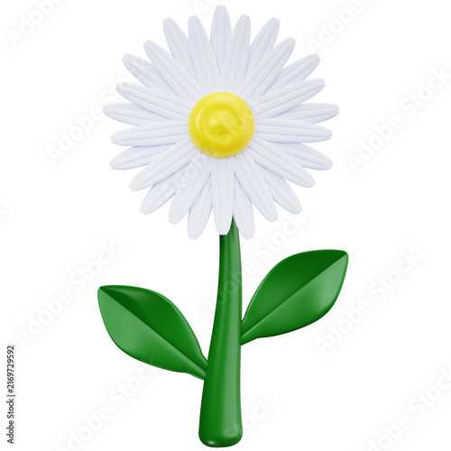 White Daisy Flower 3D Illustrations