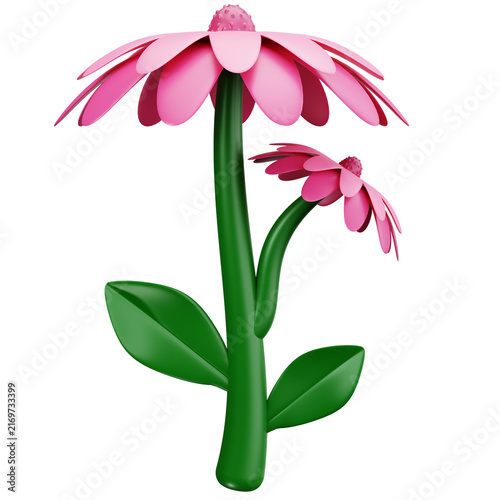 Pink Coneflower 3D Illustrations